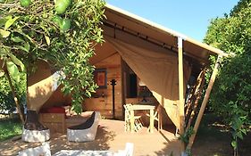 Campo Portakal Eco Glamping